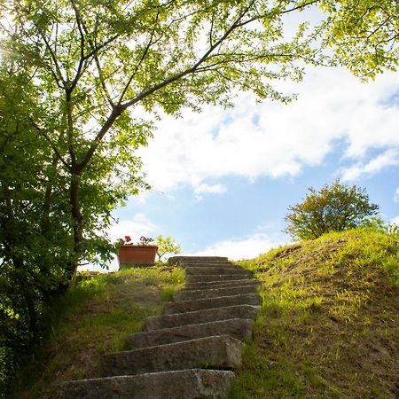 Valverde Ca' Noeva住宿加早餐旅馆 外观 照片