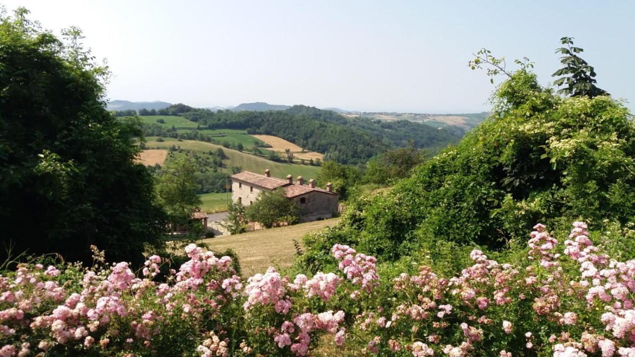 Valverde Ca' Noeva住宿加早餐旅馆 外观 照片